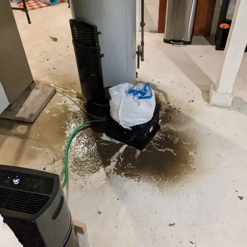 Sewage Backup Cleanup Service in Red Bluff, CA